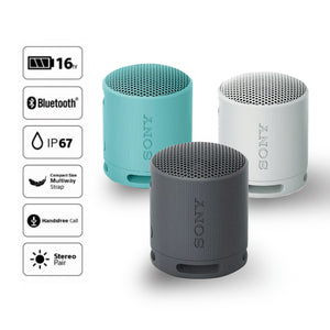 Sony SRS-XB100 Haut-parleur Bluetooth Portatif