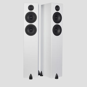 Totem Acoustic BISON TWIN TOWER Haut-parleur Colonne (paire)